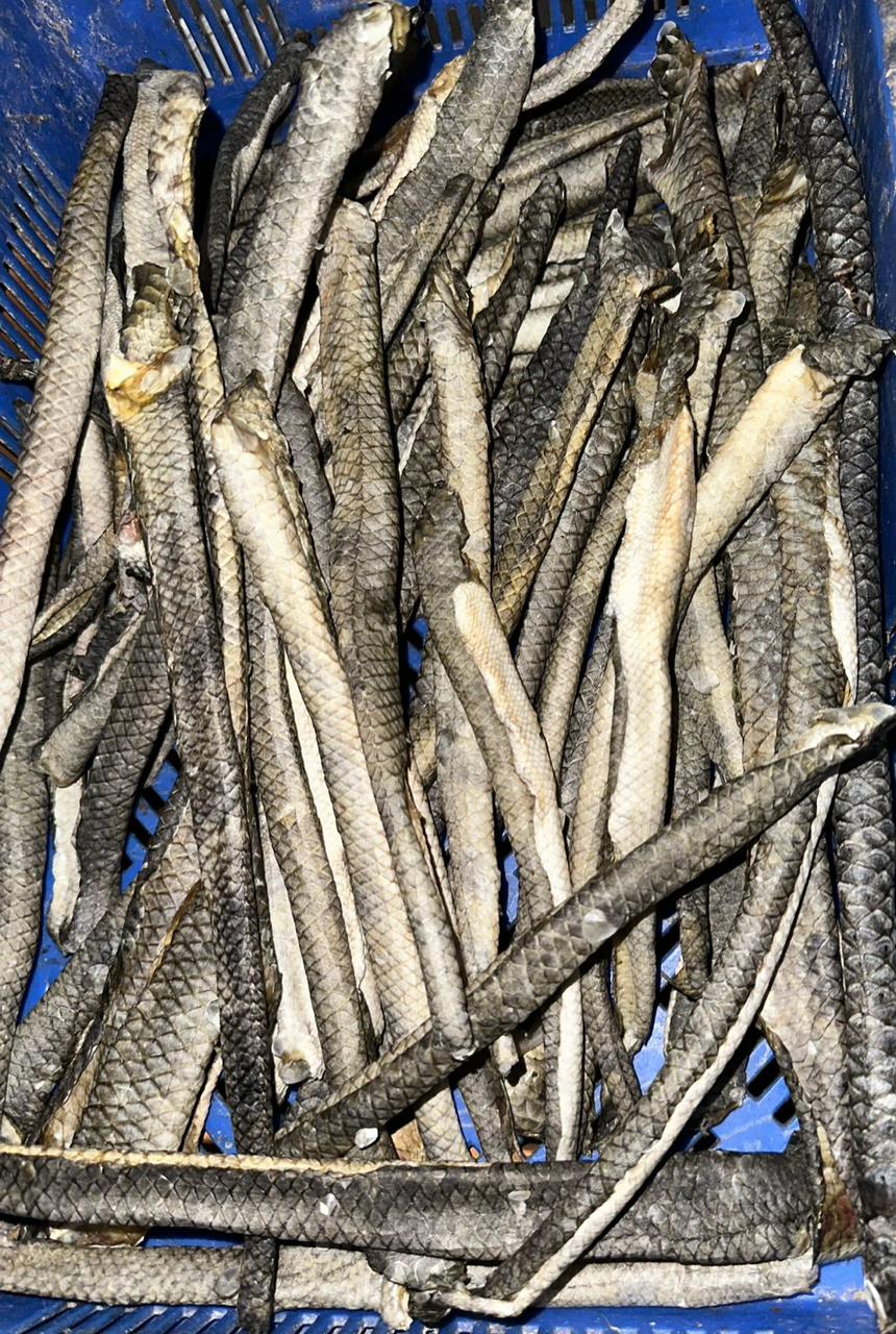 Fish Skin Stick (Code)